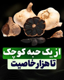سیرسیاه ژاپنی تخمیری دکتر بیز | خاصیت درمانی و تقویت قوای جنسی و رفع زودانزالی